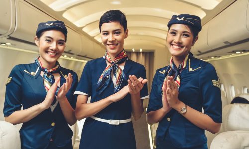 Professional Certificate in Cabin Crew & In-Flight Services