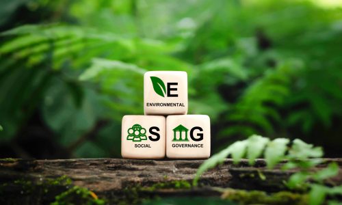 The Certified ESG (Environmental, Social, and Governance)